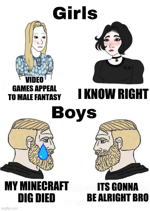Girls vs Boys | VIDEO GAMES APPEAL TO MALE FANTASY; I KNOW RIGHT; ITS GONNA BE ALRIGHT BRO; MY MINECRAFT DIG DIED | image tagged in girls vs boys | made w/ Imgflip meme maker