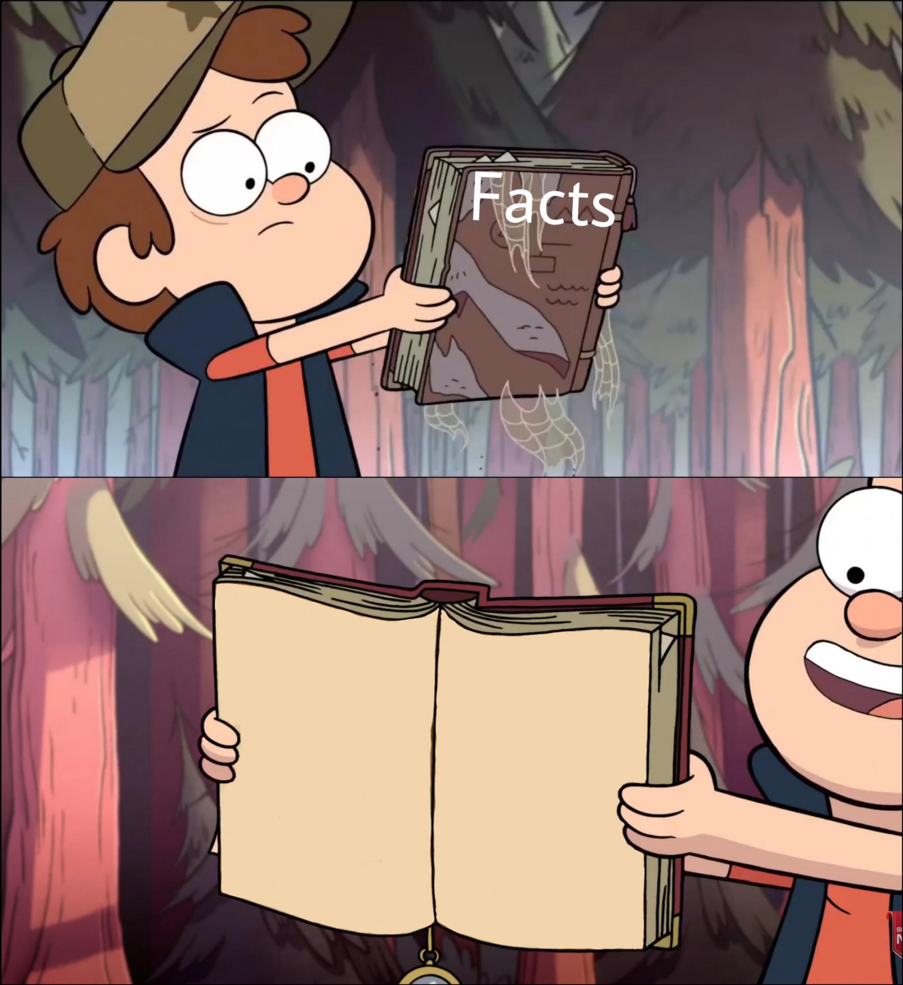 High Quality Gravity falls Facts book Blank Meme Template