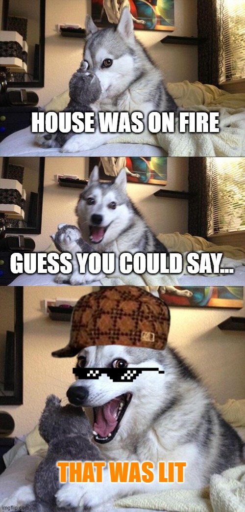 lol | HOUSE WAS ON FIRE; GUESS YOU COULD SAY... THAT WAS LIT | image tagged in memes,bad pun dog | made w/ Imgflip meme maker