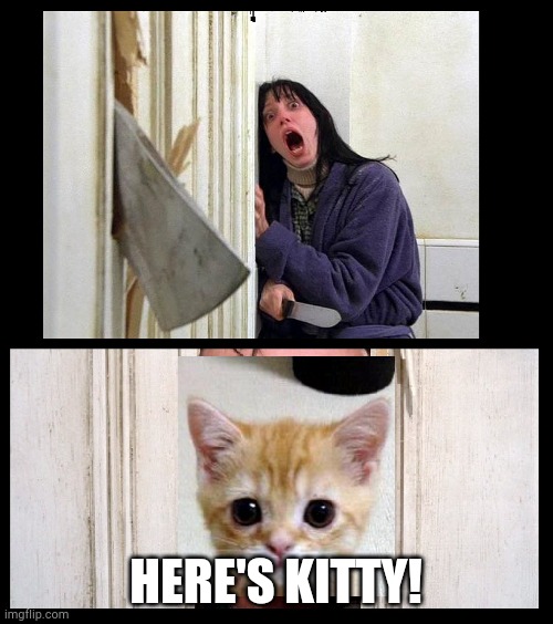 Here's Jhonny | HERE'S KITTY! | image tagged in here's jhonny | made w/ Imgflip meme maker