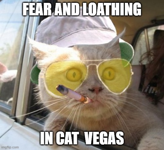 Fear And Loathing Cat | FEAR AND LOATHING; IN CAT  VEGAS | image tagged in memes,fear and loathing cat | made w/ Imgflip meme maker