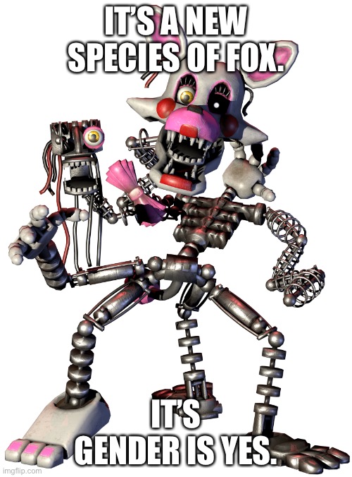 Mangle | IT’S A NEW SPECIES OF FOX. IT’S GENDER IS YES. | image tagged in mangle | made w/ Imgflip meme maker
