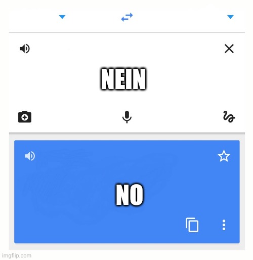 Google Translate | NEIN NO | image tagged in google translate | made w/ Imgflip meme maker