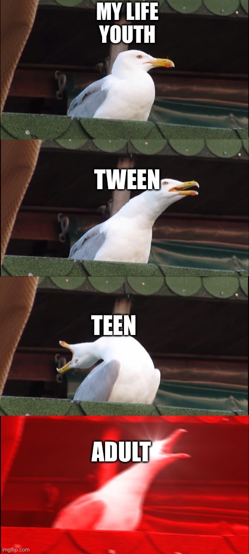 Hmmmmm | MY LIFE
YOUTH; TWEEN; TEEN; ADULT | image tagged in memes,inhaling seagull | made w/ Imgflip meme maker