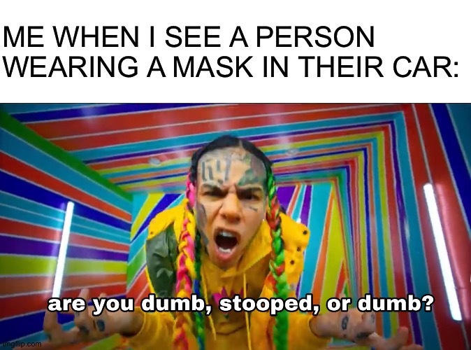 Are you dumb | ME WHEN I SEE A PERSON WEARING A MASK IN THEIR CAR: | image tagged in are you dumb,memes,o,so,good | made w/ Imgflip meme maker