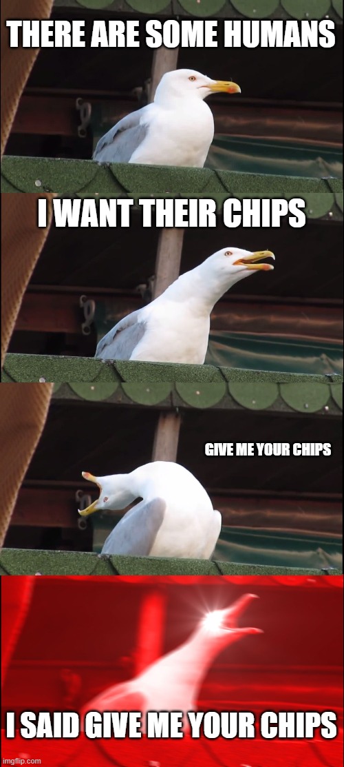 GIVE ME YOUR CHIPS | THERE ARE SOME HUMANS; I WANT THEIR CHIPS; GIVE ME YOUR CHIPS; I SAID GIVE ME YOUR CHIPS | image tagged in memes,inhaling seagull | made w/ Imgflip meme maker