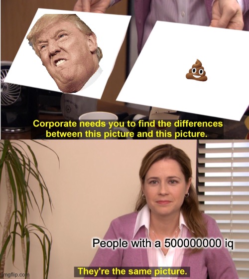They're The Same Picture | 💩; People with a 500000000 iq | image tagged in memes,they're the same picture | made w/ Imgflip meme maker