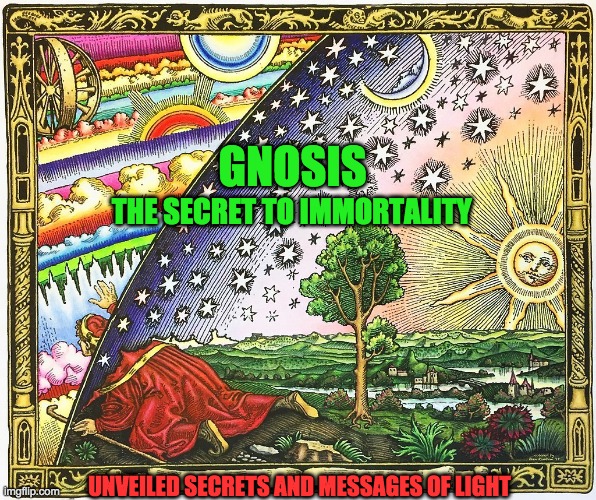 GNOSIS | GNOSIS; THE SECRET TO IMMORTALITY; UNVEILED SECRETS AND MESSAGES OF LIGHT | image tagged in gnosis | made w/ Imgflip meme maker