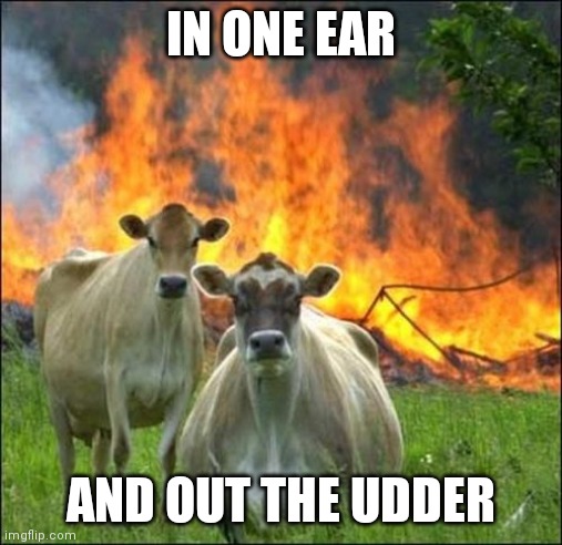 Evil Cows Meme | IN ONE EAR; AND OUT THE UDDER | image tagged in memes,evil cows | made w/ Imgflip meme maker