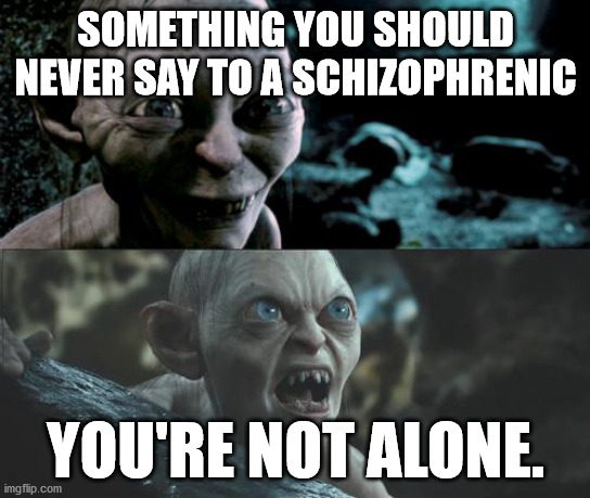 Sometime you shold never say to a schizophrenic | SOMETHING YOU SHOULD NEVER SAY TO A SCHIZOPHRENIC; YOU'RE NOT ALONE. | image tagged in gollum schizophrenia,schizophrenic | made w/ Imgflip meme maker