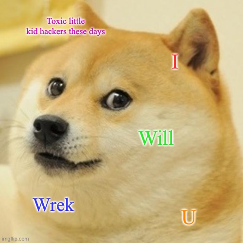 Doge | Toxic little kid hackers these days; I; Will; Wrek; U | image tagged in memes,doge | made w/ Imgflip meme maker