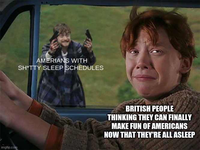 Is this stream dead? | AMERIANS WITH SH*TTY SLEEP SCHEDULES; BRITISH PEOPLE THINKING THEY CAN FINALLY MAKE FUN OF AMERICANS NOW THAT THEY'RE ALL ASLEEP | image tagged in harry with guns scared ron | made w/ Imgflip meme maker