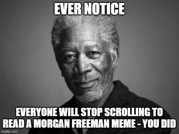 Morgan Freeman | EVER NOTICE; EVERYONE WILL STOP SCROLLING TO READ A MORGAN FREEMAN MEME - YOU DID | image tagged in morgan freeman | made w/ Imgflip meme maker