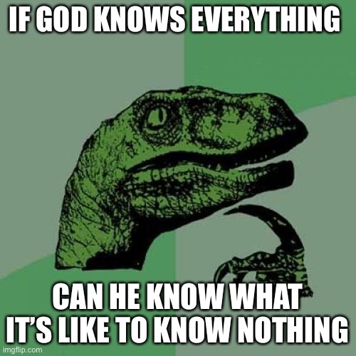 Shower thoughts about God | IF GOD KNOWS EVERYTHING; CAN HE KNOW WHAT IT’S LIKE TO KNOW NOTHING | image tagged in memes,philosoraptor,god,all knowing | made w/ Imgflip meme maker