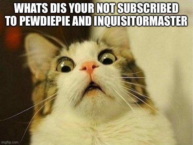 your not subscribed! | WHATS DIS YOUR NOT SUBSCRIBED TO PEWDIEPIE AND INQUISITORMASTER | image tagged in memes,scared cat | made w/ Imgflip meme maker
