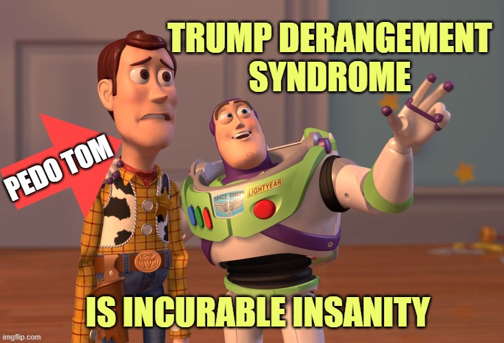 TDS is a mental disease, and tied to pedophilia | TRUMP DERANGEMENT
SYNDROME; PEDO TOM; IS INCURABLE INSANITY | image tagged in memes,x x everywhere | made w/ Imgflip meme maker