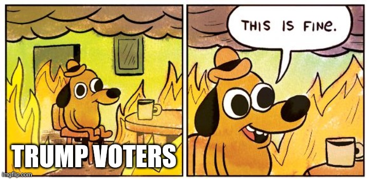 Trump couldn't lead his way out of a paper bag | TRUMP VOTERS | image tagged in memes,this is fine | made w/ Imgflip meme maker