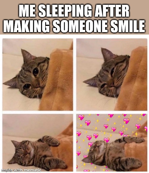 ME SLEEPING AFTER MAKING SOMEONE SMILE | image tagged in wholesome | made w/ Imgflip meme maker