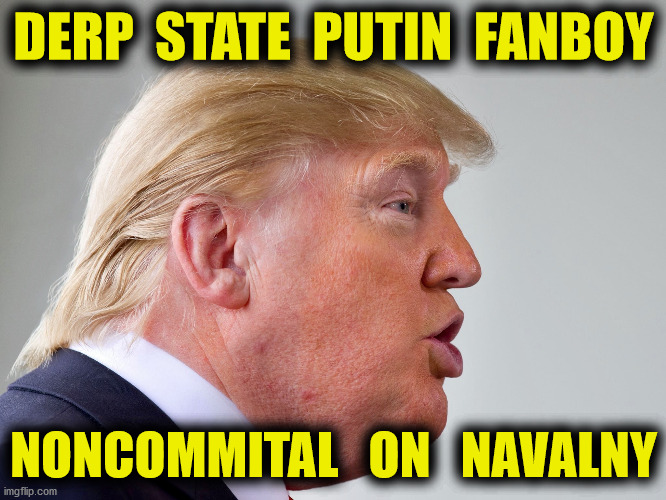 Where's the tweet? | DERP  STATE  PUTIN  FANBOY; NONCOMMITAL   ON   NAVALNY | image tagged in donald trump,vladimir putin,alexei navalny,russia,memes | made w/ Imgflip meme maker