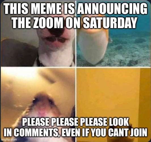 online classes |  THIS MEME IS ANNOUNCING THE ZOOM ON SATURDAY; PLEASE PLEASE PLEASE LOOK IN COMMENTS, EVEN IF YOU CANT JOIN | image tagged in online classes | made w/ Imgflip meme maker