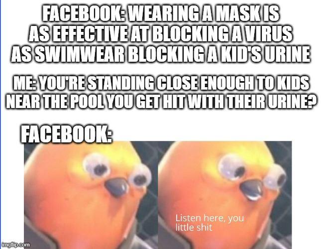 It's a fair question to ask. | FACEBOOK: WEARING A MASK IS AS EFFECTIVE AT BLOCKING A VIRUS AS SWIMWEAR BLOCKING A KID'S URINE; ME: YOU'RE STANDING CLOSE ENOUGH TO KIDS NEAR THE POOL YOU GET HIT WITH THEIR URINE? FACEBOOK: | image tagged in listen here you little shit,memes,urine,pool,facebook,masks | made w/ Imgflip meme maker