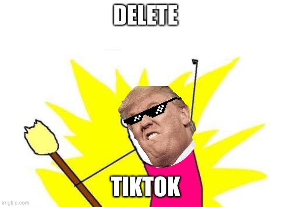 Why trump why? | DELETE; TIKTOK | image tagged in memes,x all the y,donald trump,tik tok | made w/ Imgflip meme maker