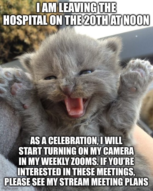 Yay Kitty | I AM LEAVING THE HOSPITAL ON THE 20TH AT NOON; AS A CELEBRATION, I WILL START TURNING ON MY CAMERA IN MY WEEKLY ZOOMS. IF YOU’RE INTERESTED IN THESE MEETINGS, PLEASE SEE MY STREAM MEETING PLANS | image tagged in yay kitty | made w/ Imgflip meme maker