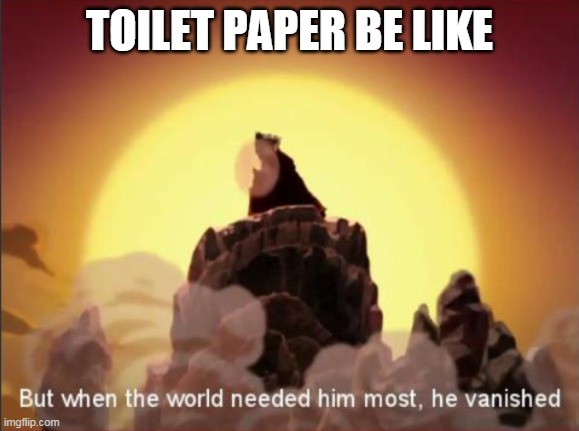But when the world needed him most, he vanished | TOILET PAPER BE LIKE | image tagged in but when the world needed him most he vanished | made w/ Imgflip meme maker