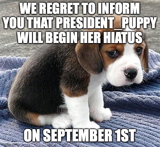 Please do not ask for details or tell me to stay because I won't. | WE REGRET TO INFORM YOU THAT PRESIDENT_PUPPY WILL BEGIN HER HIATUS; ON SEPTEMBER 1ST | image tagged in sad puppy,thanks so much imgflip,for letting me have such fun,i prob wont be on for a long long time | made w/ Imgflip meme maker