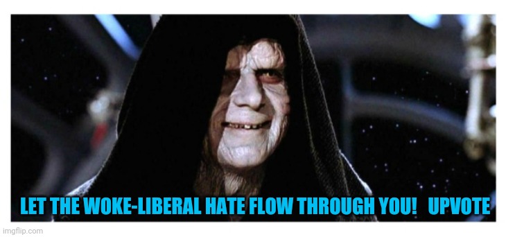 LET THE WOKE-LIBERAL HATE FLOW THROUGH YOU!   UPVOTE | made w/ Imgflip meme maker