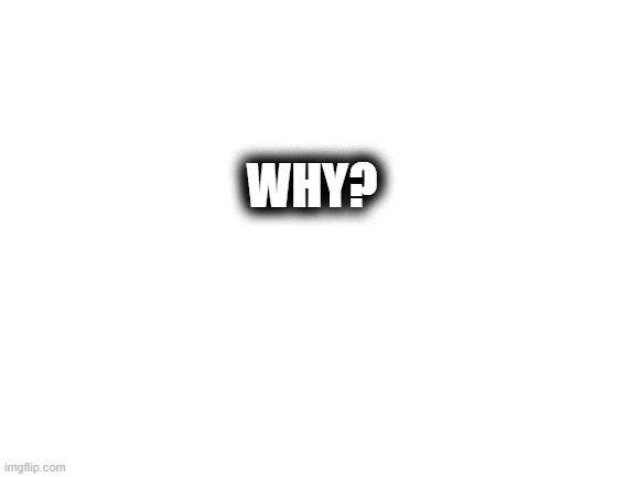 WHY? | WHY? | image tagged in blank white template | made w/ Imgflip meme maker