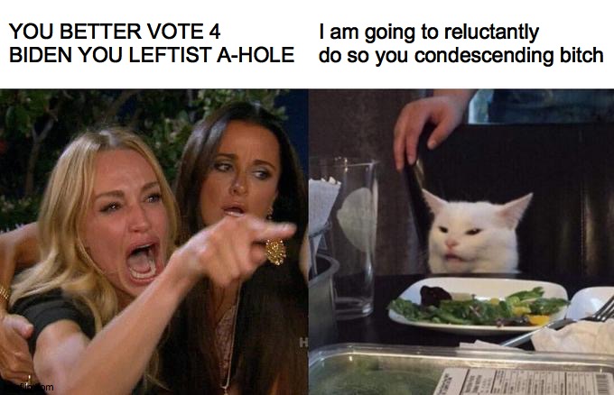 Woman Yelling At Cat | YOU BETTER VOTE 4 BIDEN YOU LEFTIST A-HOLE; I am going to reluctantly do so you condescending bitch | image tagged in memes,woman yelling at cat,leftist | made w/ Imgflip meme maker