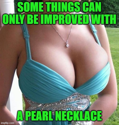 Necklace | SOME THINGS CAN ONLY BE IMPROVED WITH A PEARL NECKLACE | image tagged in necklace | made w/ Imgflip meme maker