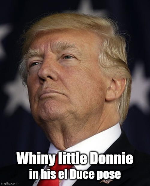 in his el Duce pose | image tagged in whiny donnie,el duce | made w/ Imgflip meme maker
