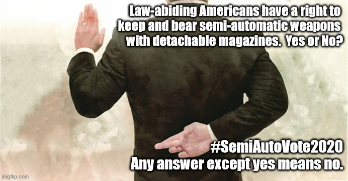 #SemiAutoVote2020 | Law-abiding Americans have a right to 
keep and bear semi-automatic weapons 
with detachable magazines.  Yes or No? #SemiAutoVote2020
Any answer except yes means no. | image tagged in insist on candor | made w/ Imgflip meme maker