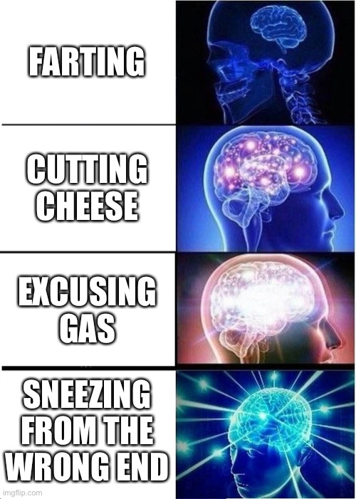 Expanding Brain | FARTING; CUTTING CHEESE; EXCUSING GAS; SNEEZING FROM THE WRONG END | image tagged in memes,expanding brain | made w/ Imgflip meme maker