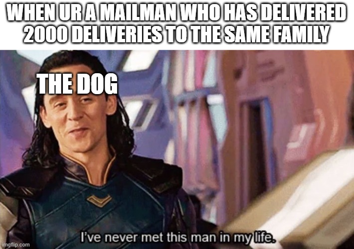 I Have Never Met This Man In My Life | WHEN UR A MAILMAN WHO HAS DELIVERED 2000 DELIVERIES TO THE SAME FAMILY; THE DOG | image tagged in i have never met this man in my life | made w/ Imgflip meme maker