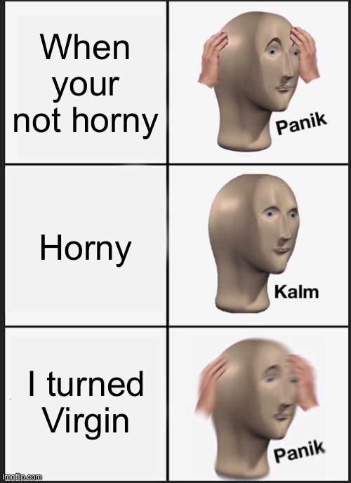 Not horny, horny, I’M VIRGIN | When your not horny; Horny; I turned Virgin | image tagged in memes,panik kalm panik | made w/ Imgflip meme maker