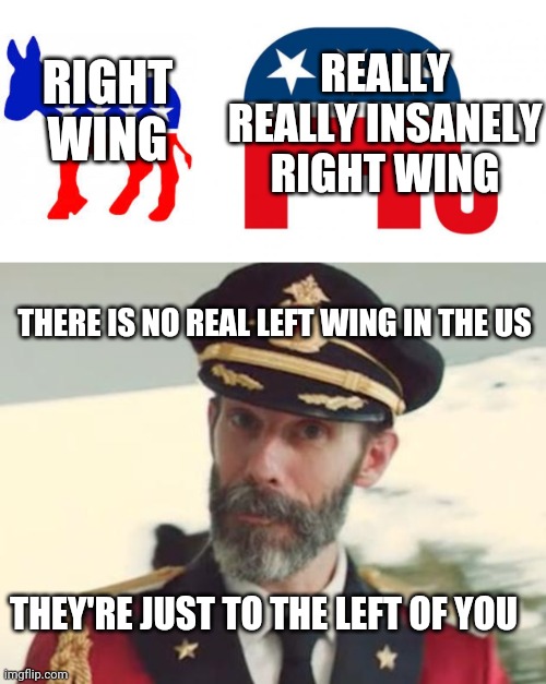 REALLY REALLY INSANELY RIGHT WING; RIGHT WING; THERE IS NO REAL LEFT WING IN THE US; THEY'RE JUST TO THE LEFT OF YOU | image tagged in captain obvious,republican,democrat donkey | made w/ Imgflip meme maker