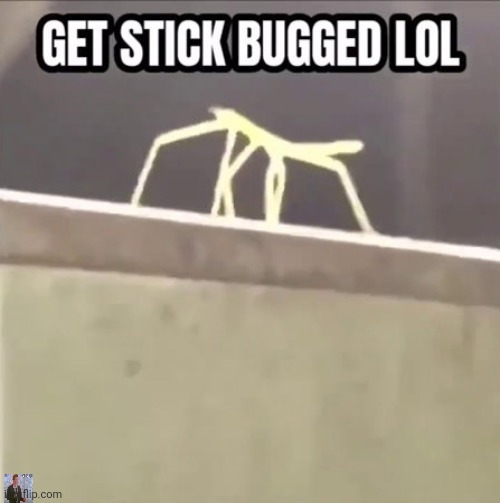 Get stick bugged lol | image tagged in get stick bugged lol | made w/ Imgflip meme maker