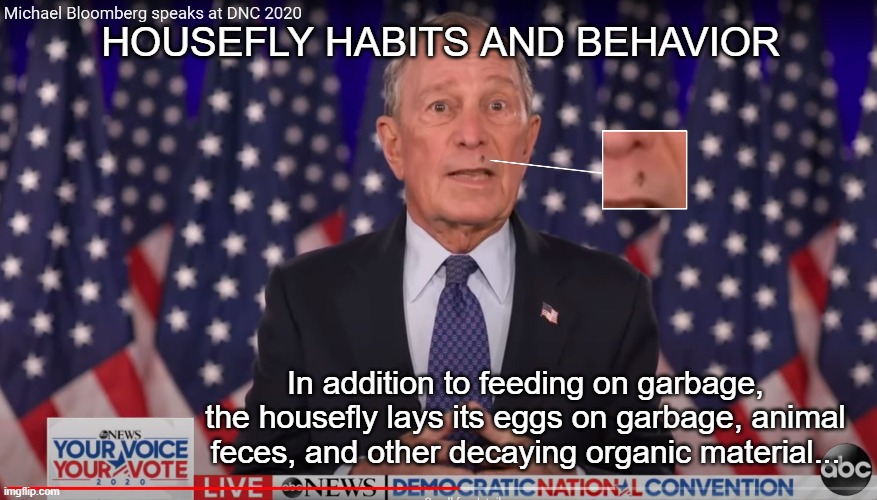 Housefly Habits and Behavior | HOUSEFLY HABITS AND BEHAVIOR; In addition to feeding on garbage, the housefly lays its eggs on garbage, animal feces, and other decaying organic material... | image tagged in michael bloomberg,biden,trump 2020 | made w/ Imgflip meme maker