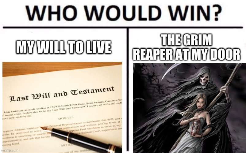 Kill Meh | MY WILL TO LIVE; THE GRIM REAPER AT MY DOOR | image tagged in who would win | made w/ Imgflip meme maker