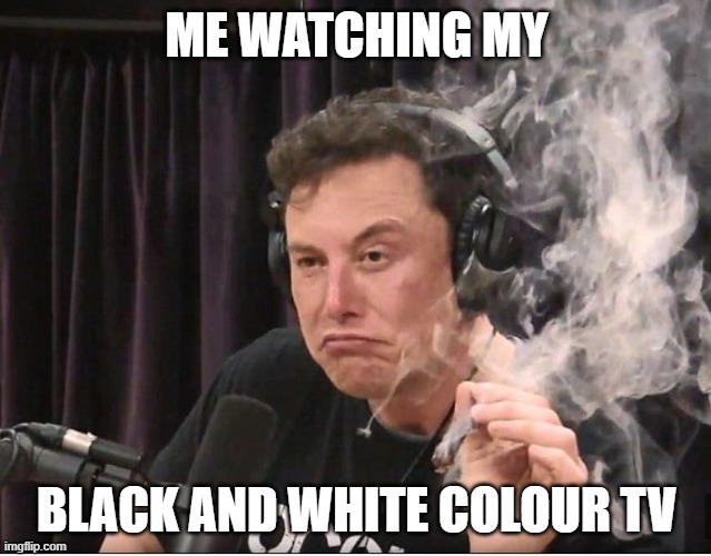Elon Musk smoking a joint | ME WATCHING MY; BLACK AND WHITE COLOUR TV | image tagged in elon musk smoking a joint | made w/ Imgflip meme maker