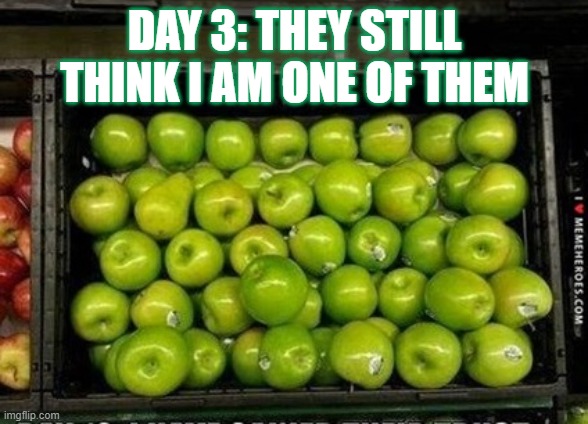 Day 3: They still think I am on of them | DAY 3: THEY STILL THINK I AM ONE OF THEM | image tagged in apples and pear | made w/ Imgflip meme maker