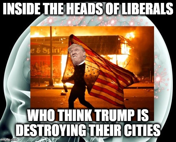 Liberals have lost touch with reality.  Don't be a liberal. | INSIDE THE HEADS OF LIBERALS; WHO THINK TRUMP IS DESTROYING THEIR CITIES | image tagged in memes,stupid liberals,election 2020,trump derangement syndrome,destruction of cities,blm | made w/ Imgflip meme maker