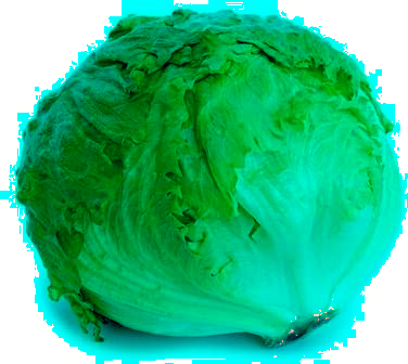 Ultra Instinct Lettuce. Blank Meme Template