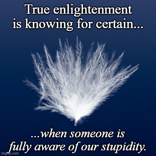 Know Thyself | True enlightenment is knowing for certain... ...when someone is fully aware of our stupidity. | image tagged in know thyself | made w/ Imgflip meme maker