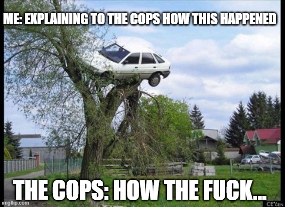 Secure Parking Meme | ME: EXPLAINING TO THE COPS HOW THIS HAPPENED; THE COPS: HOW THE FUCK... | image tagged in memes,secure parking | made w/ Imgflip meme maker