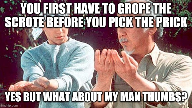 Mr Miyagi | YOU FIRST HAVE TO GROPE THE SCROTE BEFORE YOU PICK THE PRICK; YES BUT WHAT ABOUT MY MAN THUMBS? | image tagged in mr miyagi | made w/ Imgflip meme maker