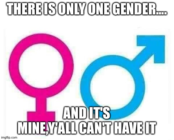 Crap post at 4 am,don't take this seriously | THERE IS ONLY ONE GENDER.... AND IT'S MINE,Y'ALL CAN'T HAVE IT | image tagged in genders | made w/ Imgflip meme maker